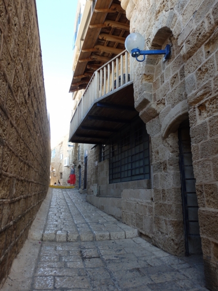 На курсах в Израиле в середине осени (Тель-Авив - Яффо, Герцлия, Иерусалим)