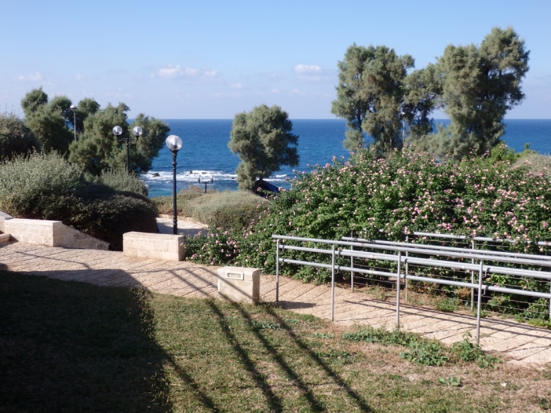 На курсах в Израиле в середине осени (Тель-Авив - Яффо, Герцлия, Иерусалим)