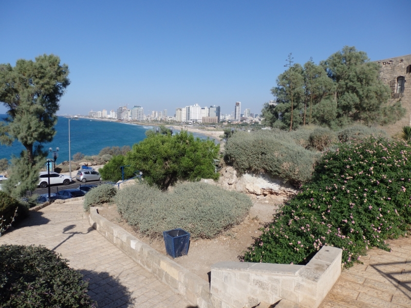 На курсах в Израиле в середине осени (Тель-Авив - Яффо, Герцлия, Иерусалим)