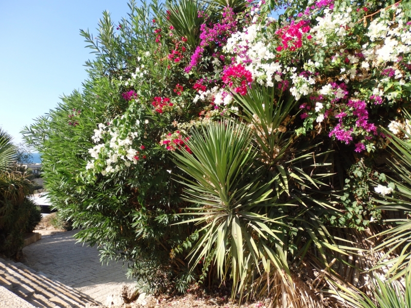 На курсах в Израиле в середине осени (Тель-Авив - Яффо, Герцлия, Иерусалим)