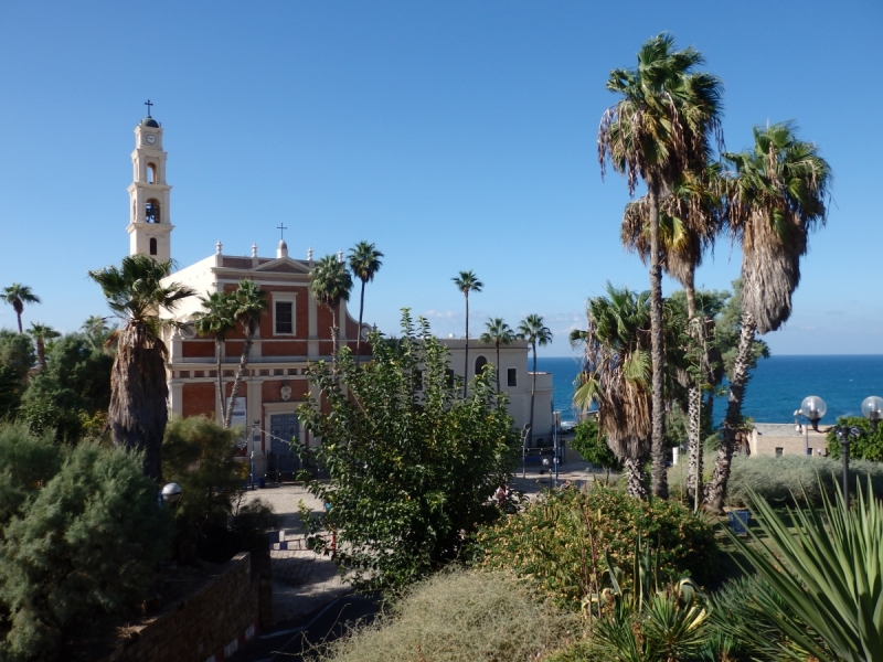 На курсах в Израиле в середине осени (Тель-Авив - Яффо, Герцлия, Иерусалим)