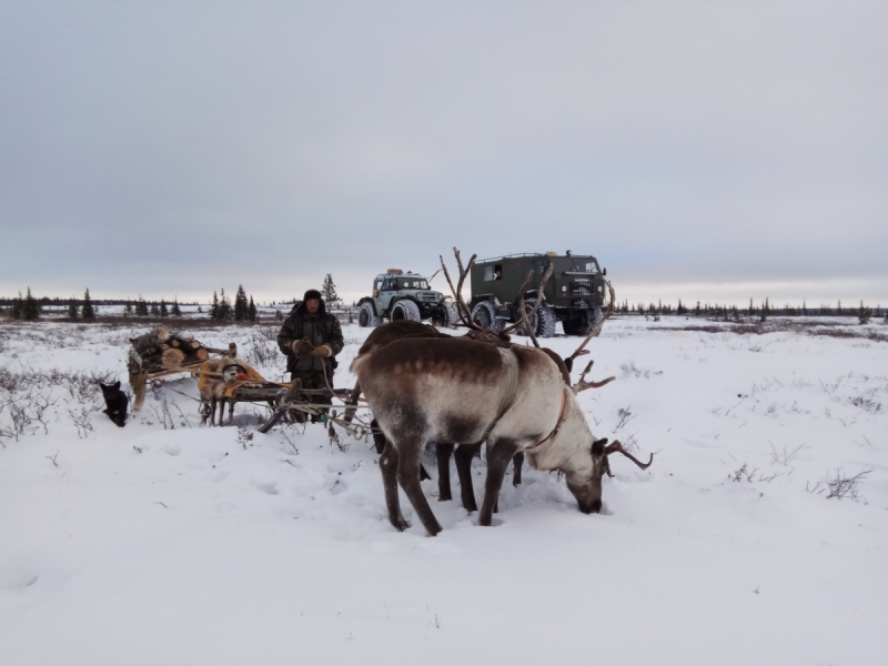 Север. Стынет кровь. Печора, Талый, Каджеро́м, Усть-Лыжы, Паш-Шор, Юрьяха. Без прикрас. 2017окт.