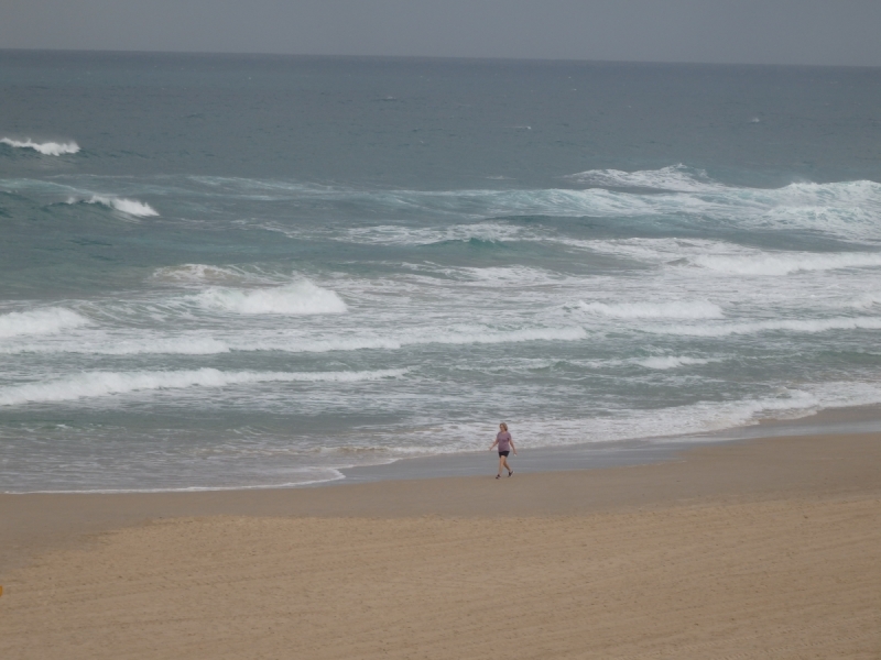 На курсах в Израиле в середине осени (Тель-Авив - Яффо, Герцлия, Иерусалим)