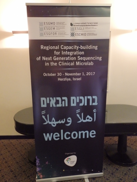 На курсах в Израиле в середине осени (Тель-Авив - Яффо, Герцлия, Иерусалим)