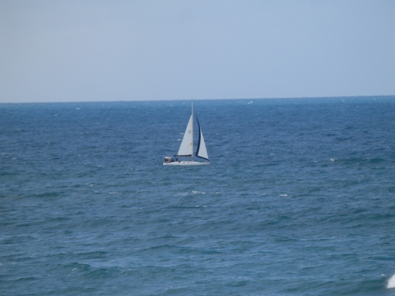 На курсах в Израиле в середине осени (Тель-Авив - Яффо, Герцлия, Иерусалим)