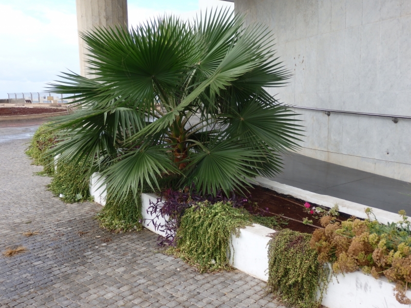 На курсах в Израиле в середине осени (Тель-Авив - Яффо, Герцлия, Иерусалим)