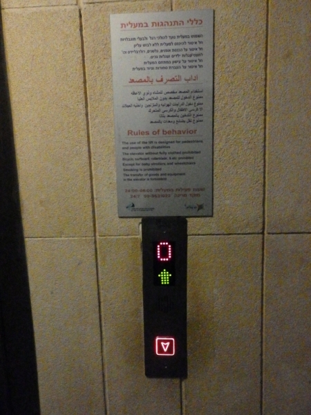 На курсах в Израиле в середине осени (Тель-Авив - Яффо, Герцлия, Иерусалим)