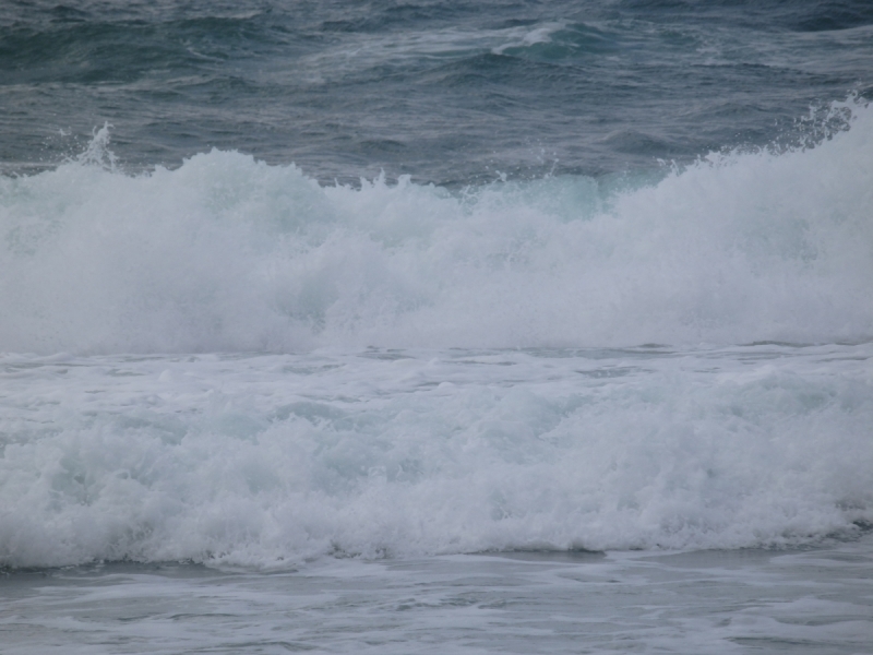 На курсах в Израиле в середине осени (Тель-Авив - Яффо, Герцлия, Иерусалим)