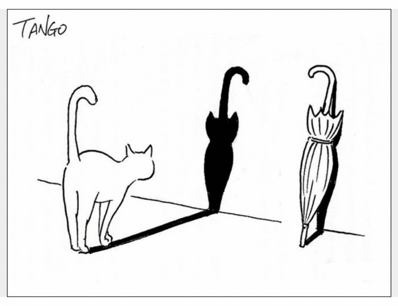 Кошки в нашей жизни. Кошки и все, что с ними связано.