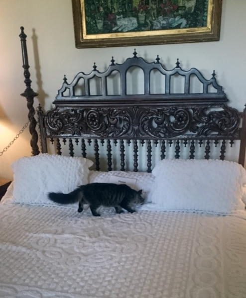 Дорога из Нью-Йорка в Нью-Йорк длиною в 4 тысячи миль