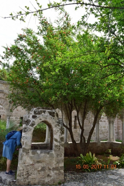 Италия от Венеции до Сиракузы за 15 дней на самолётах, поездах, паромах, автобусе и автомобиле.