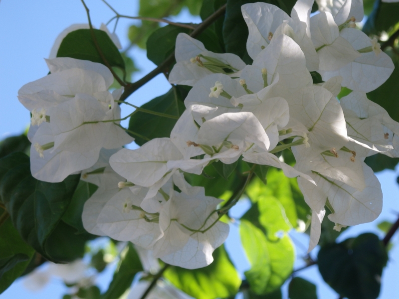 На курсах в Израиле в середине осени (Тель-Авив - Яффо, Герцлия, Иерусалим)