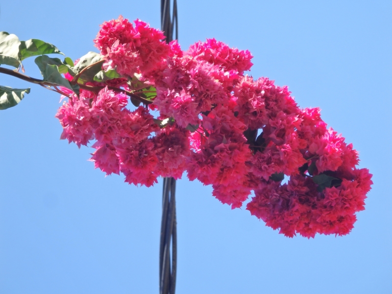 На курсах в Израиле в середине осени (Тель-Авив - Яффо, Герцлия, Иерусалим)