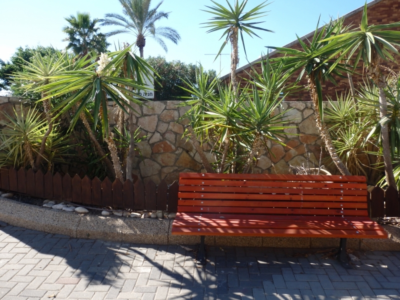 На курсах в Израиле в середине осени (Тель-Авив - Яффо, Герцлия, Иерусалим)