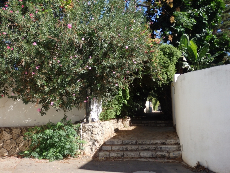 На курсах в Израиле в середине осени (Тель-Авив - Яффо, Герцлия, Иерусалим)