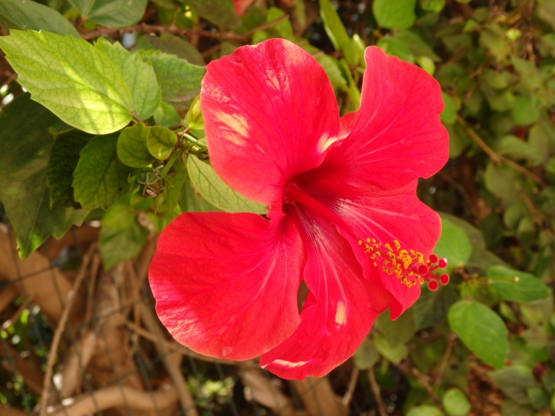 На курсах в Израиле в середине осени (Тель-Авив - Яффо, Герцлия, Иерусалим)