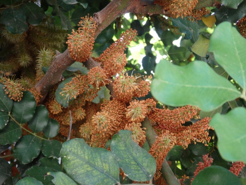 На курсах в Израиле в середине осени (Тель-Авив - Яффо, Герцлия, Иерусалим)