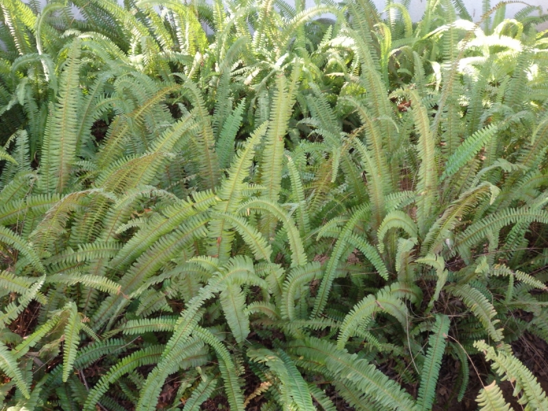 На курсах в Израиле в середине осени (Тель-Авив - Яффо, Герцлия, Иерусалим)