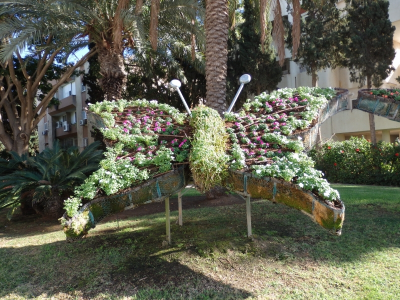 На курсах в Израиле в середине осени (Тель-Авив - Яффо, Герцлия, Иерусалим)