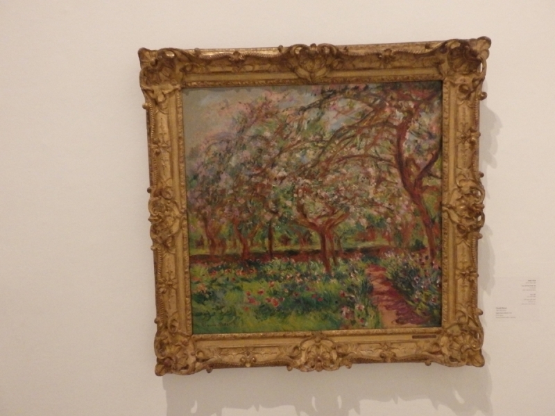 На курсах в Израиле в середине осени (Тель-Авив - Яффо, Герцлия, Иерусалим)