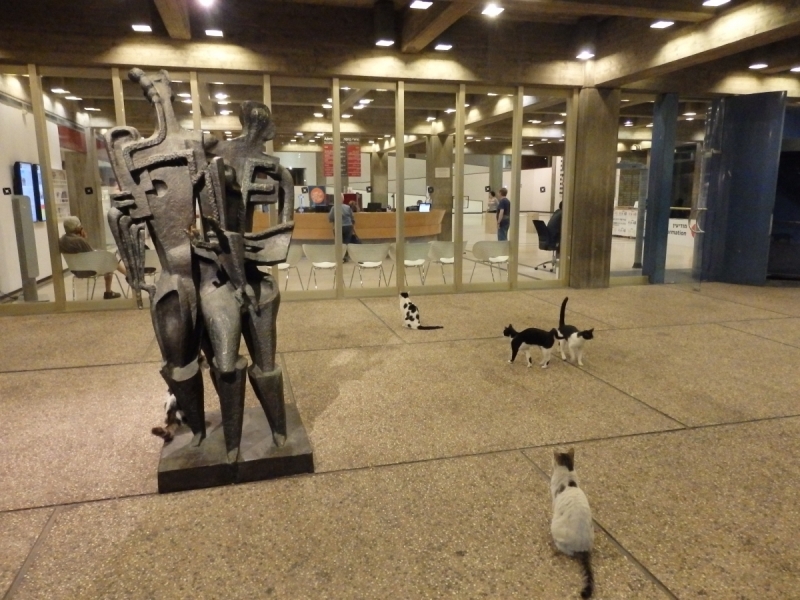 На курсах в Израиле в середине осени (Тель-Авив - Яффо, Герцлия, Иерусалим)