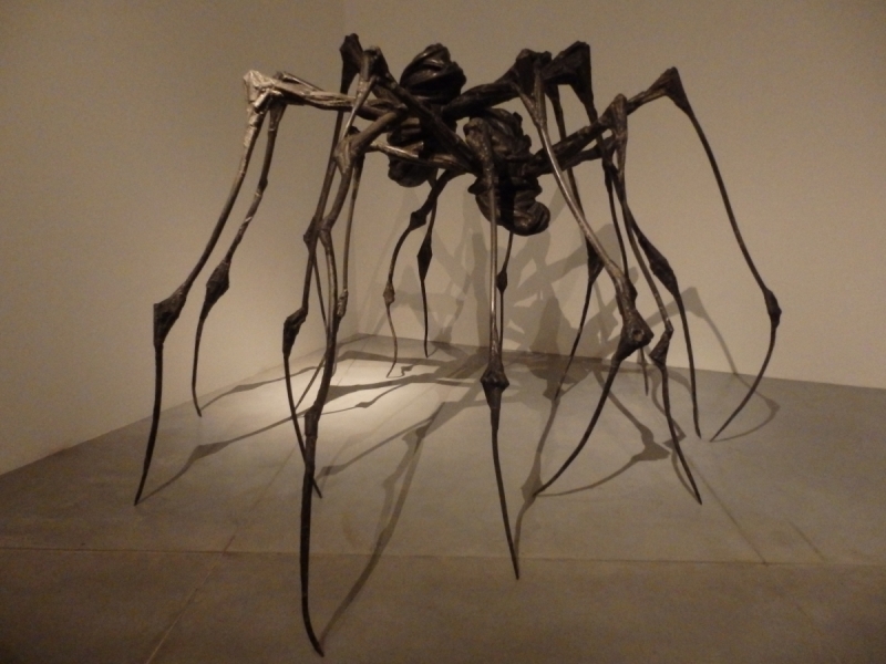 На курсах в Израиле в середине осени (Тель-Авив - Яффо, Герцлия, Иерусалим)