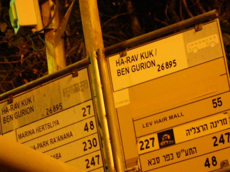 На курсах в Израиле в середине осени (Тель-Авив - Яффо, Герцлия, Иерусалим)