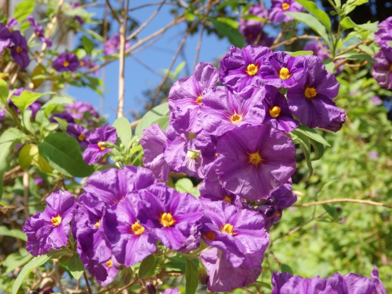 На курсах в Израиле в середине осени (Тель-Авив - Яффо, Герцлия, Иерусалим)