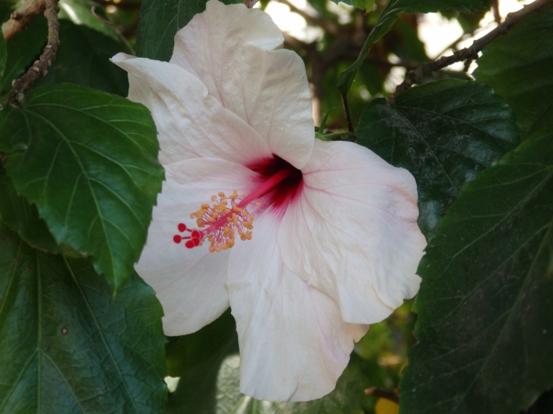 На курсах в Израиле в середине осени (Тель-Авив - Яффо, Герцлия, Иерусалим)