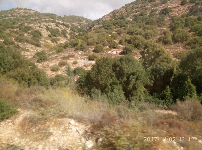 На курсах в Израиле в середине осени (Тель-Авив - Яффо, Герцлия, Иерусалим)