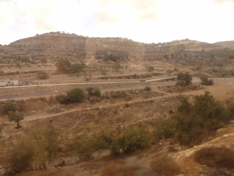 На курсах в Израиле в середине осени (Тель-Авив - Яффо, Герцлия, Иерусалим)