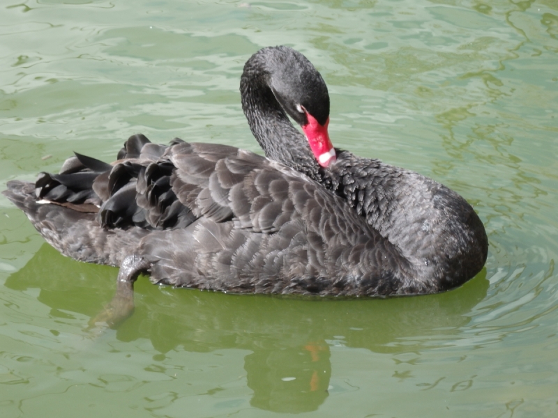 На курсах в Израиле в середине осени (Тель-Авив - Яффо, Герцлия, Иерусалим)