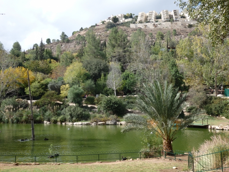 На курсах в Израиле в середине осени (Тель-Авив - Яффо, Герцлия, Иерусалим)