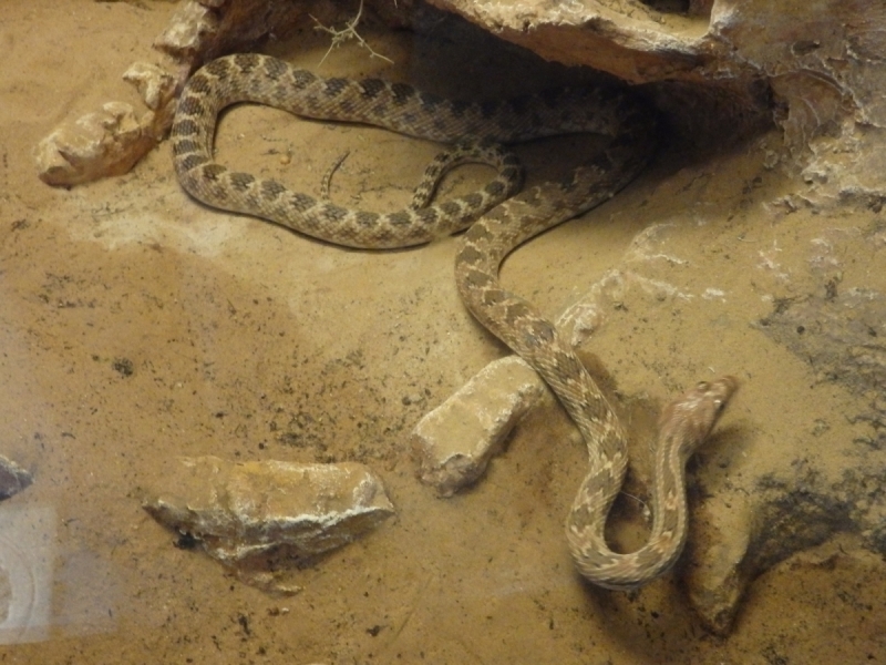 На курсах в Израиле в середине осени (Тель-Авив - Яффо, Герцлия, Иерусалим)