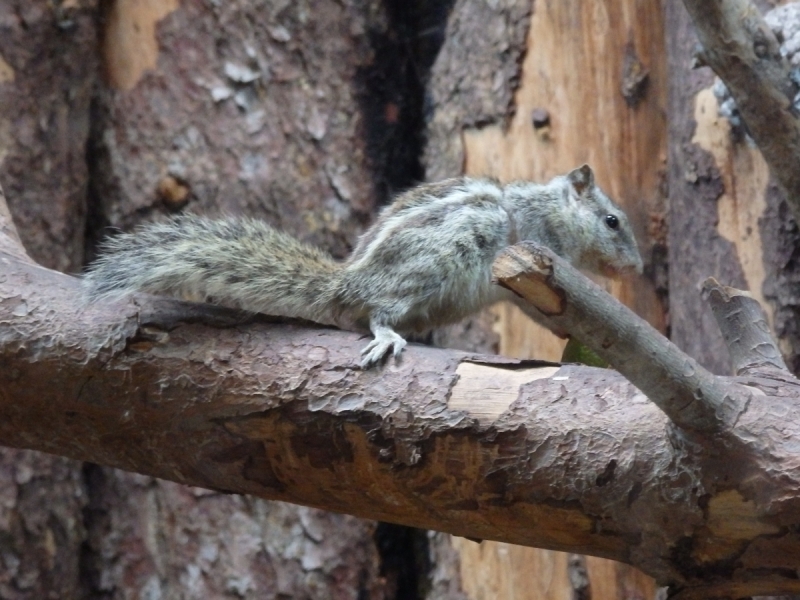 На курсах в Израиле в середине осени (Тель-Авив - Яффо, Герцлия, Иерусалим)