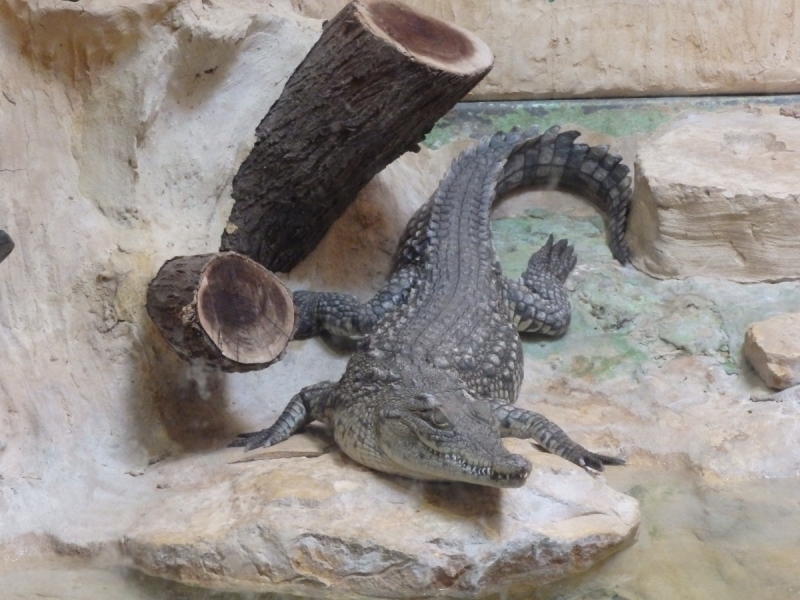 На курсах в Израиле в середине осени (Тель-Авив - Яффо, Герцлия, Иерусалим)