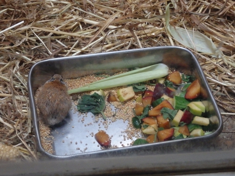 На курсах в Израиле в середине осени (Тель-Авив - Яффо, Герцлия, Иерусалим)