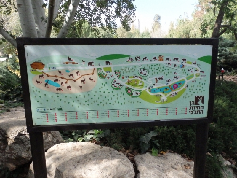 На курсах в Израиле в середине осени (Тель-Авив - Яффо, Герцлия, Иерусалим)