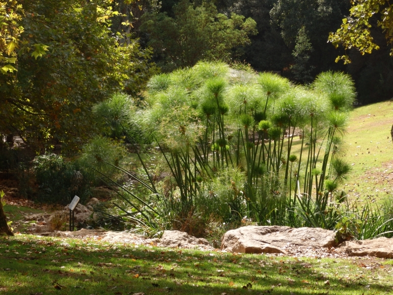 На курсах в Израиле в середине осени (Тель-Авив - Яффо, Герцлия, Иерусалим)