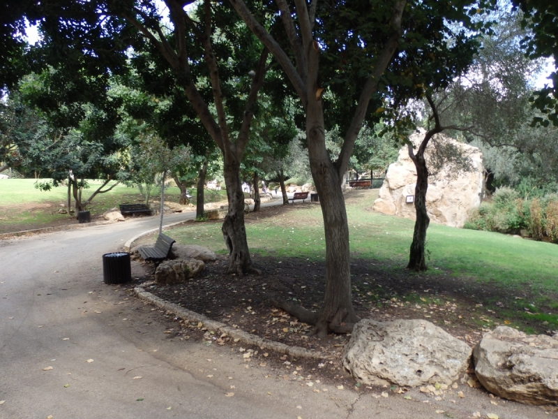 На курсах в Израиле в середине осени (Тель-Авив - Яффо, Герцлия, Иерусалим)