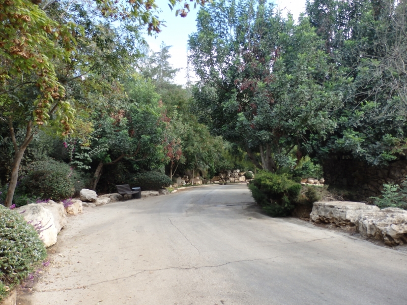 На курсах в Израиле в середине осени (Тель-Авив - Яффо, Герцлия, Иерусалим)