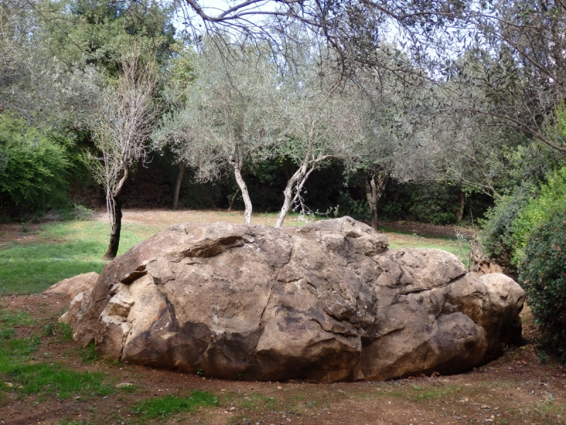 На курсах в Израиле в середине осени (Тель-Авив - Яффо, Герцлия, Иерусалим)