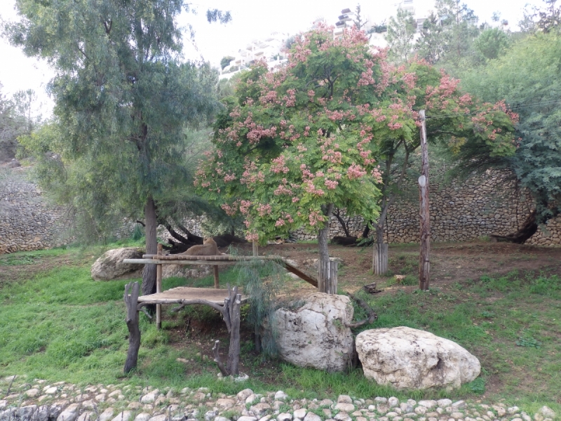 На курсах в Израиле в середине осени (Тель-Авив - Яффо, Герцлия, Иерусалим)