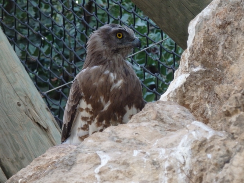 На курсах в Израиле в середине осени (Тель-Авив - Яффо, Герцлия, Иерусалим)