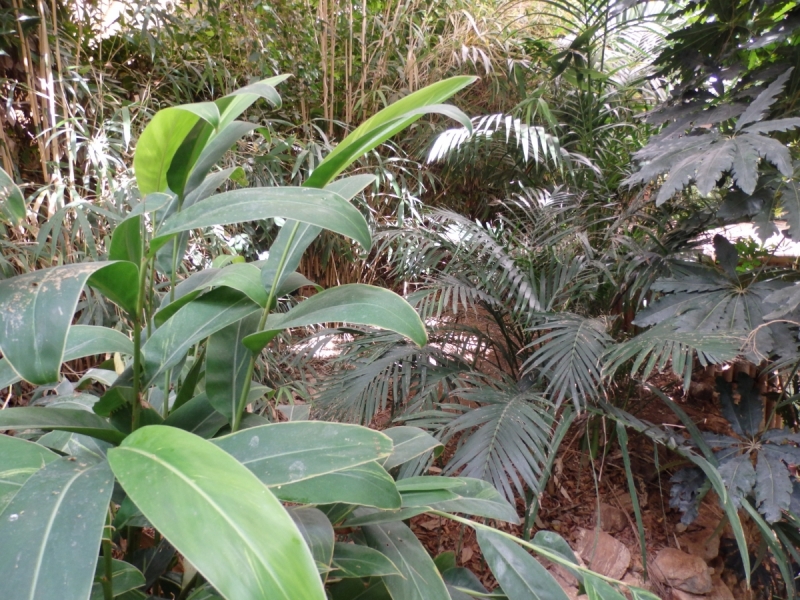 На курсах в Израиле в середине осени (Тель-Авив - Яффо, Герцлия, Иерусалим)