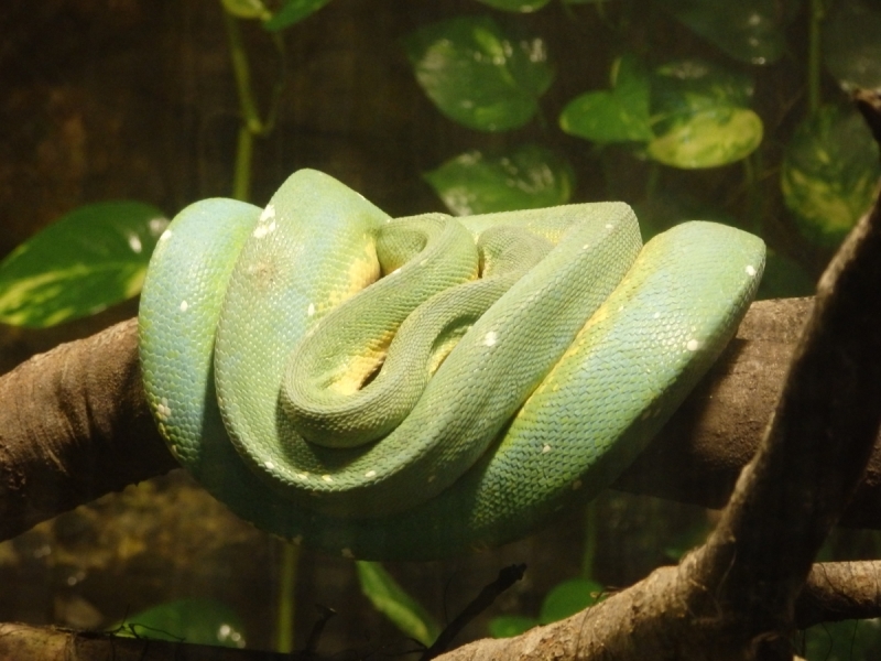На курсах в Израиле в середине осени (Тель-Авив - Яффо, Герцлия, Иерусалим)