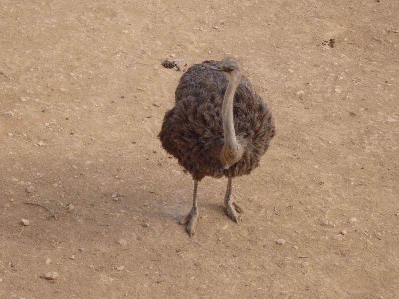 На курсах в Израиле в середине осени (Тель-Авив - Яффо, Герцлия, Иерусалим)