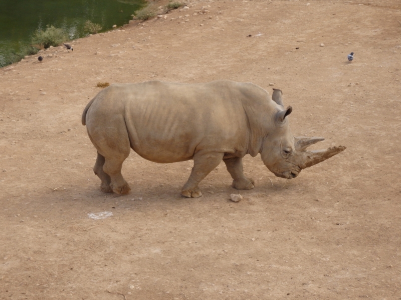 На курсах в Израиле в середине осени (Тель-Авив - Яффо, Герцлия, Иерусалим)