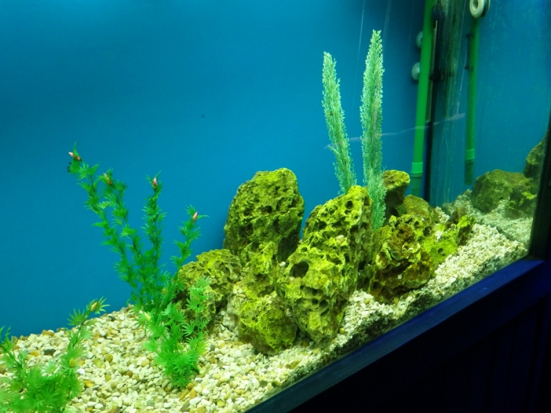 На курсах в Израиле в середине осени (Тель-Авив - Яффо, Герцлия, Иерусалим)