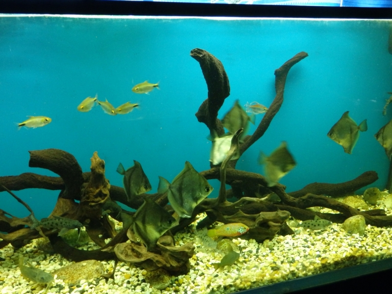 На курсах в Израиле в середине осени (Тель-Авив - Яффо, Герцлия, Иерусалим)